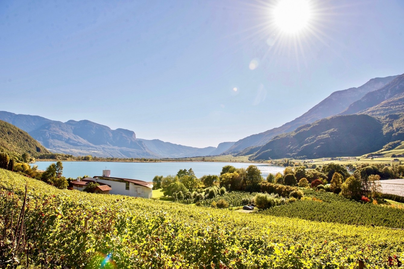 Seehotel Ambach Herbstgold Kalterer See