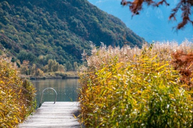 October, Escape, Kalterer See, Lago di Caldaro, Lake Caldaro, South Tyrol, Südtirol, Alto Adige, Kaltern, Angebot, Herbstangebot, Herbst
