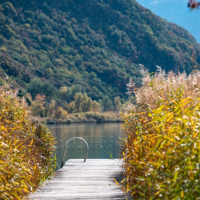 October, Escape, Kalterer See, Lago di Caldaro, Lake Caldaro, South Tyrol, Südtirol, Alto Adige, Kaltern, Angebot, Herbstangebot, Herbst